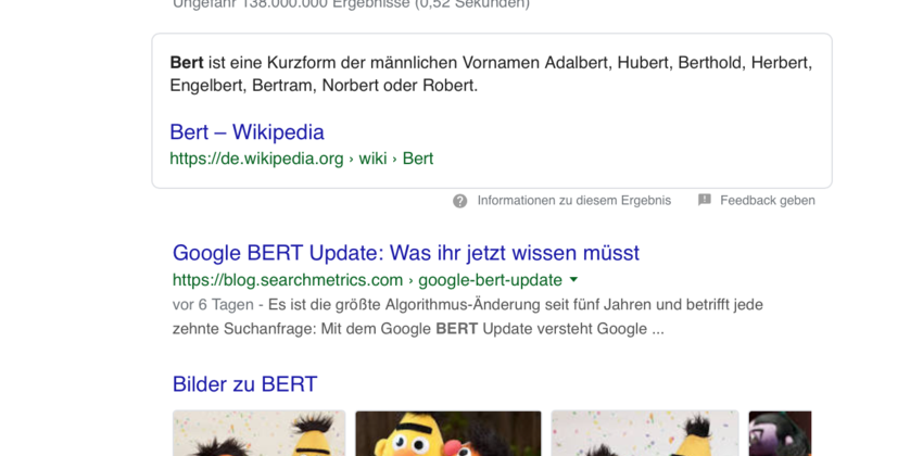 Google-Update BERT SEO