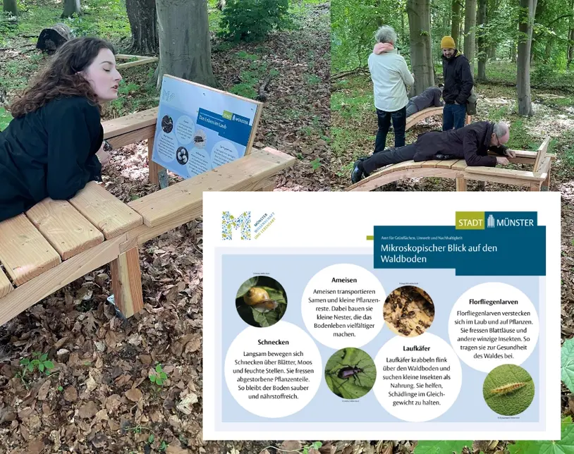 Besucher auf dem Naturlehrpfad und Informationstafel