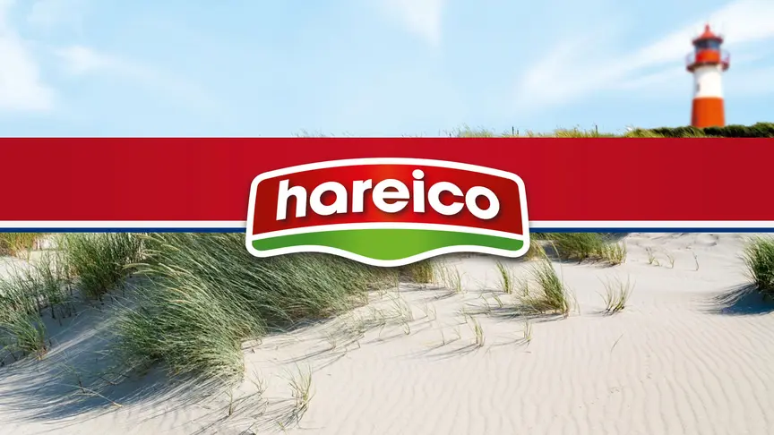 hareico Logo und Leuchtturm im Hintergrund