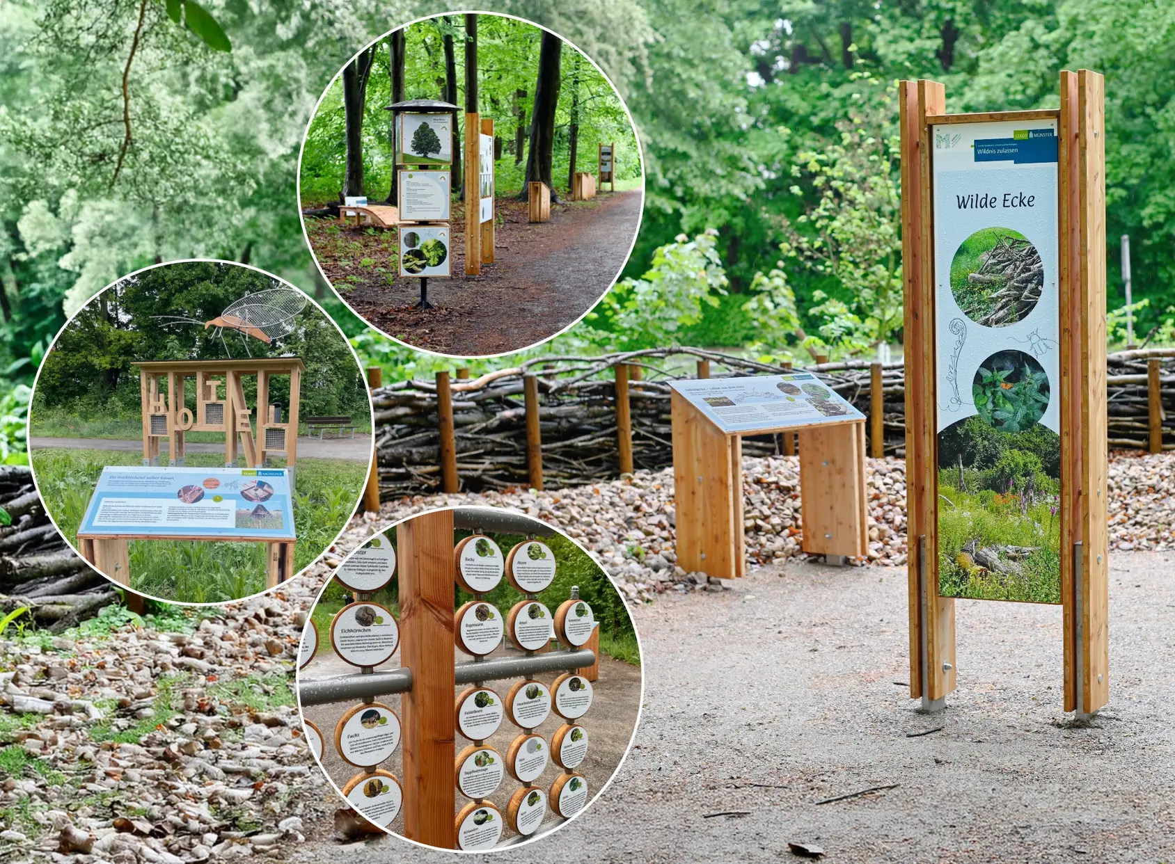 Naturlehrpfad mit Fotos der Wegstrecke und Details verschiedener Informationselemente entlang des Rundgangs.