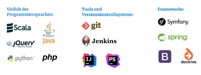 Vielfalt der Programmiersprachen, Tools und Versionskontrollsysteme, Frameworks